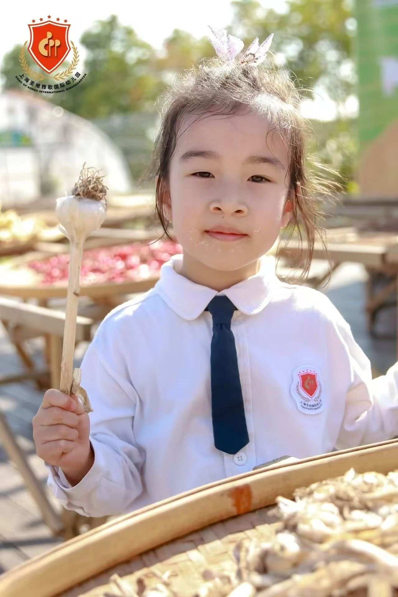 首页-人生就是博