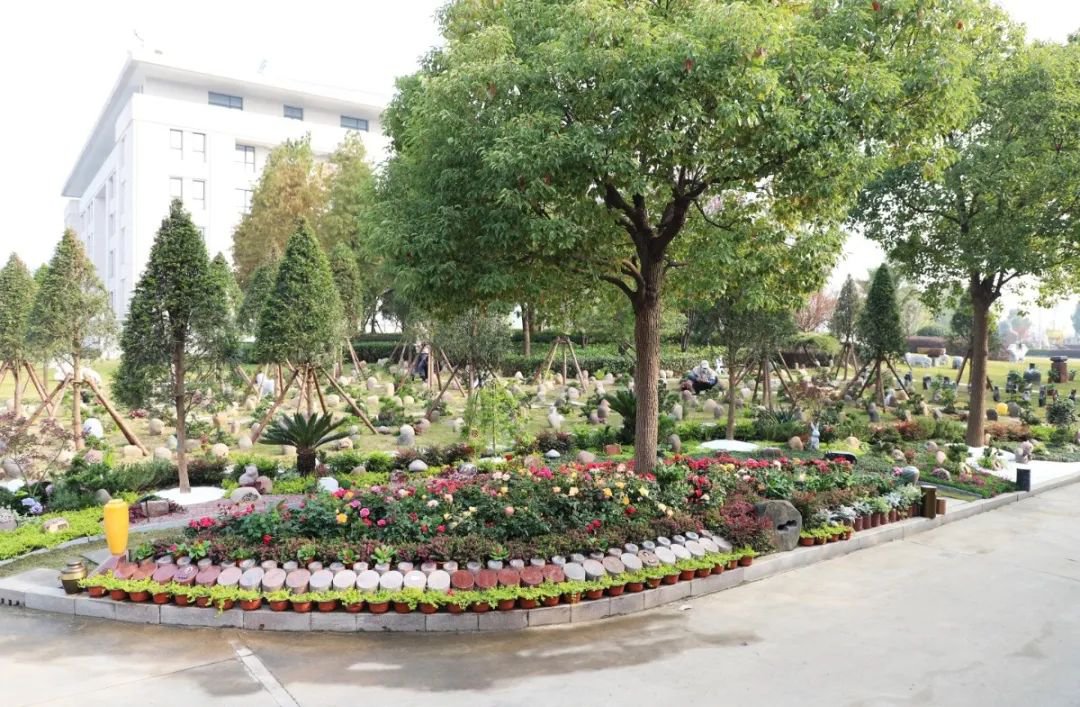 首页-人生就是博