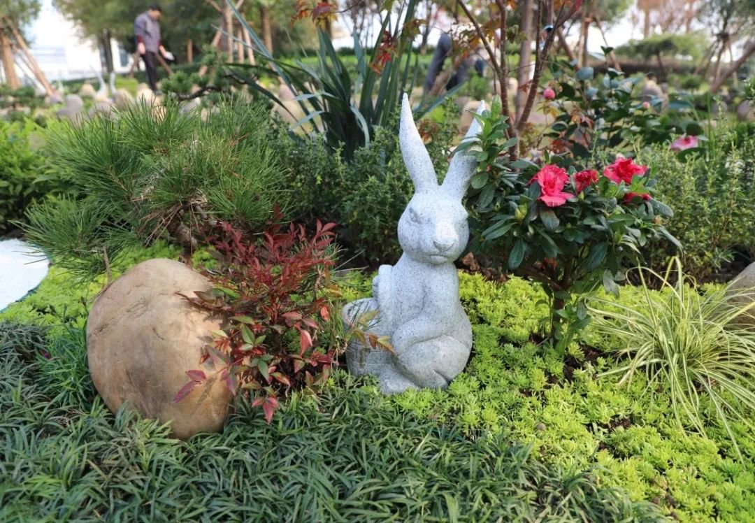 首页-人生就是博