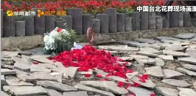 首页-人生就是博