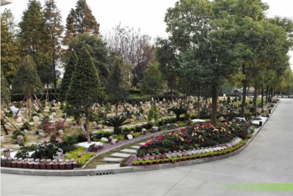 首页-人生就是博