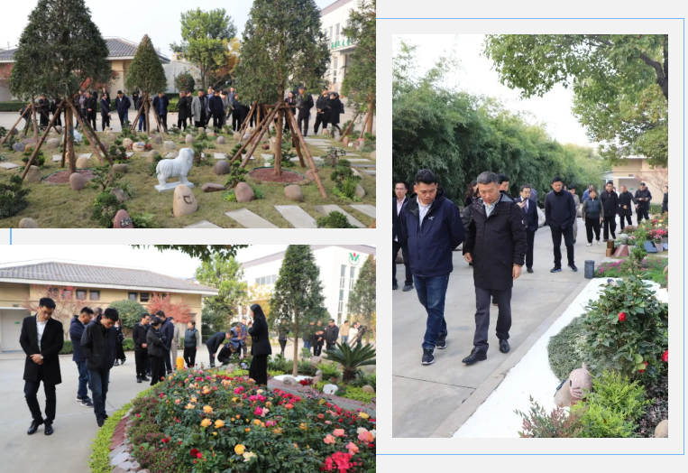 首页-人生就是博