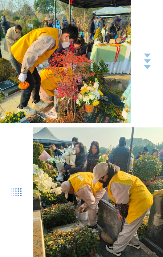 1-2412230931414H 首页-人生就是博