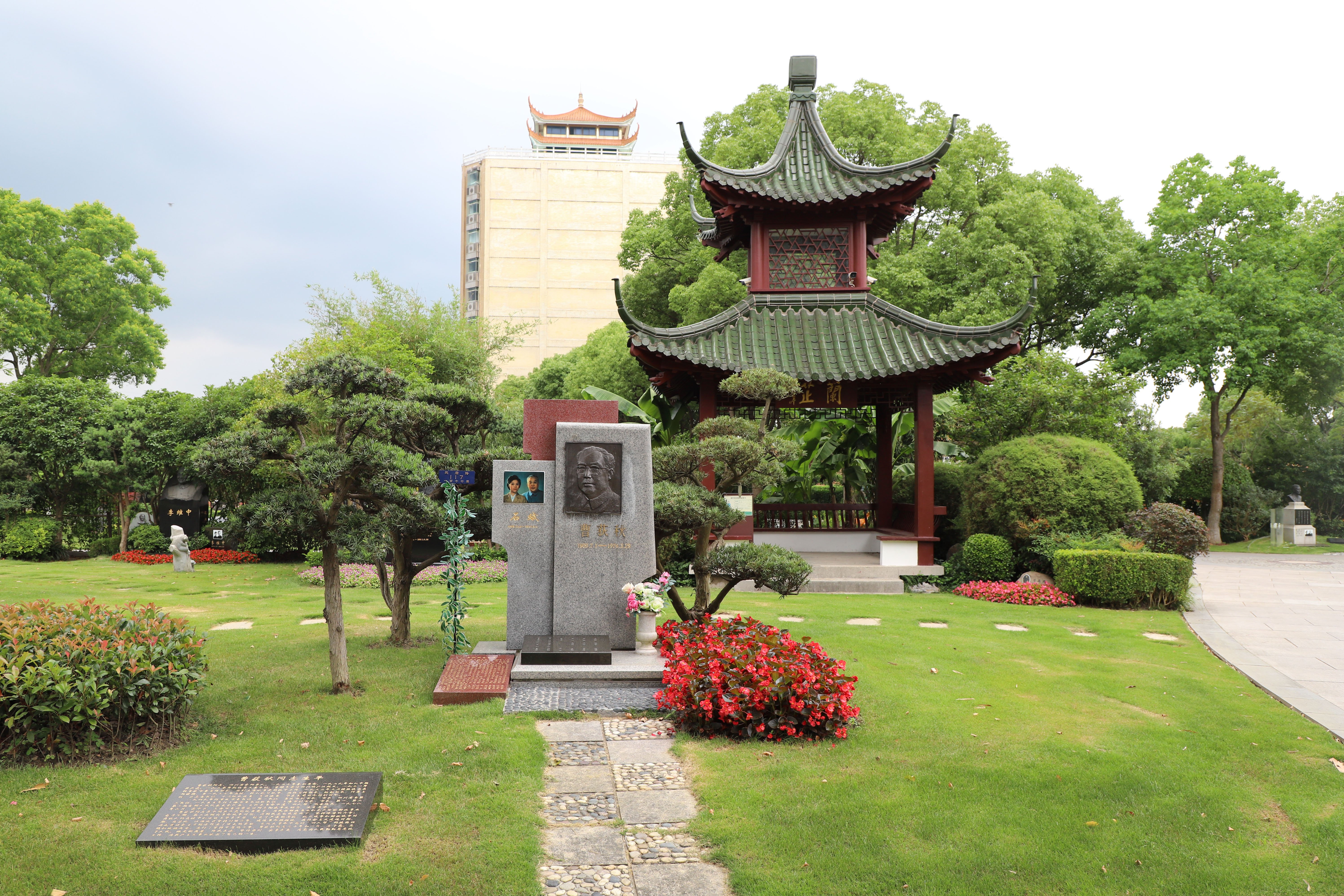 首页-人生就是博