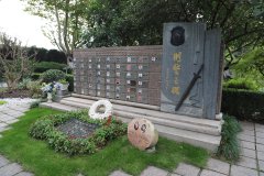 致敬“平安卫士”，，，，，，铭刻“刑警之魂”