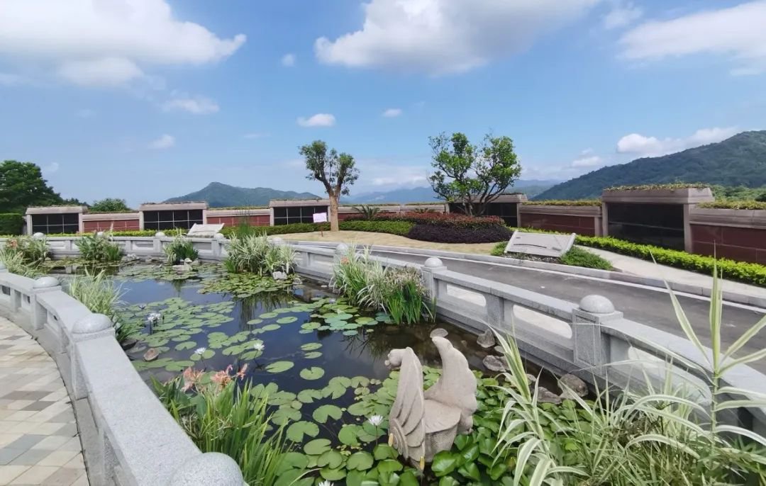 首页-人生就是博