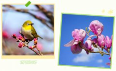 春启人生就是博