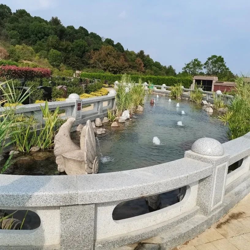 首页-人生就是博