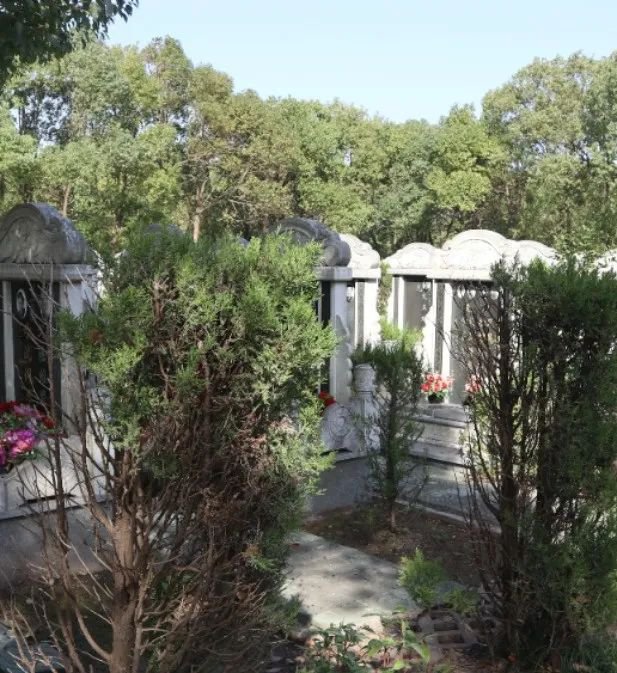 首页-人生就是博