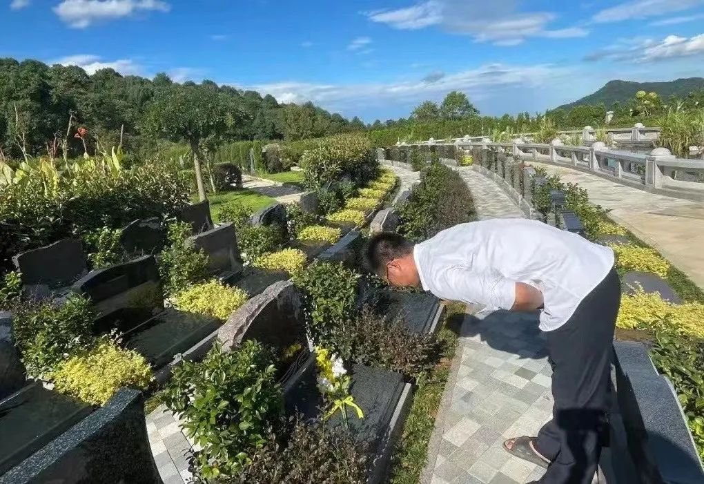 首页-人生就是博