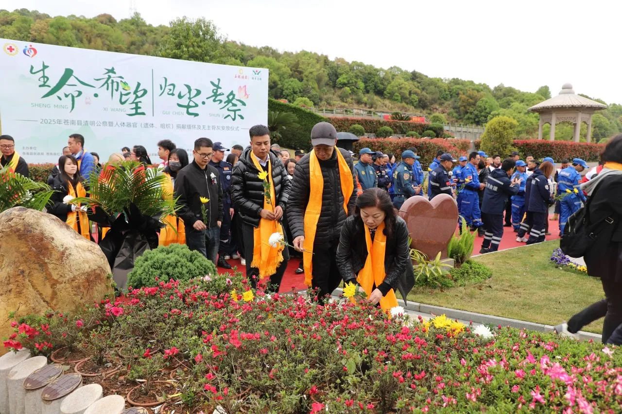 首页-人生就是博