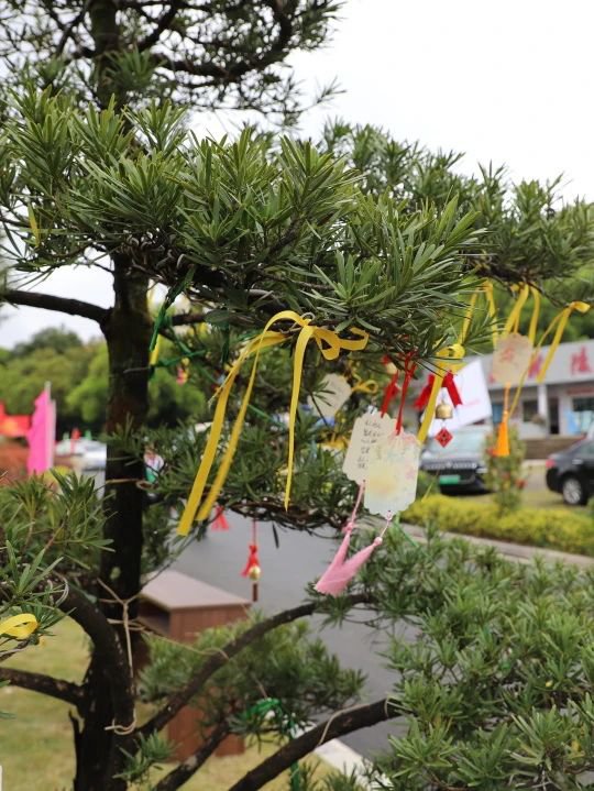 首页-人生就是博