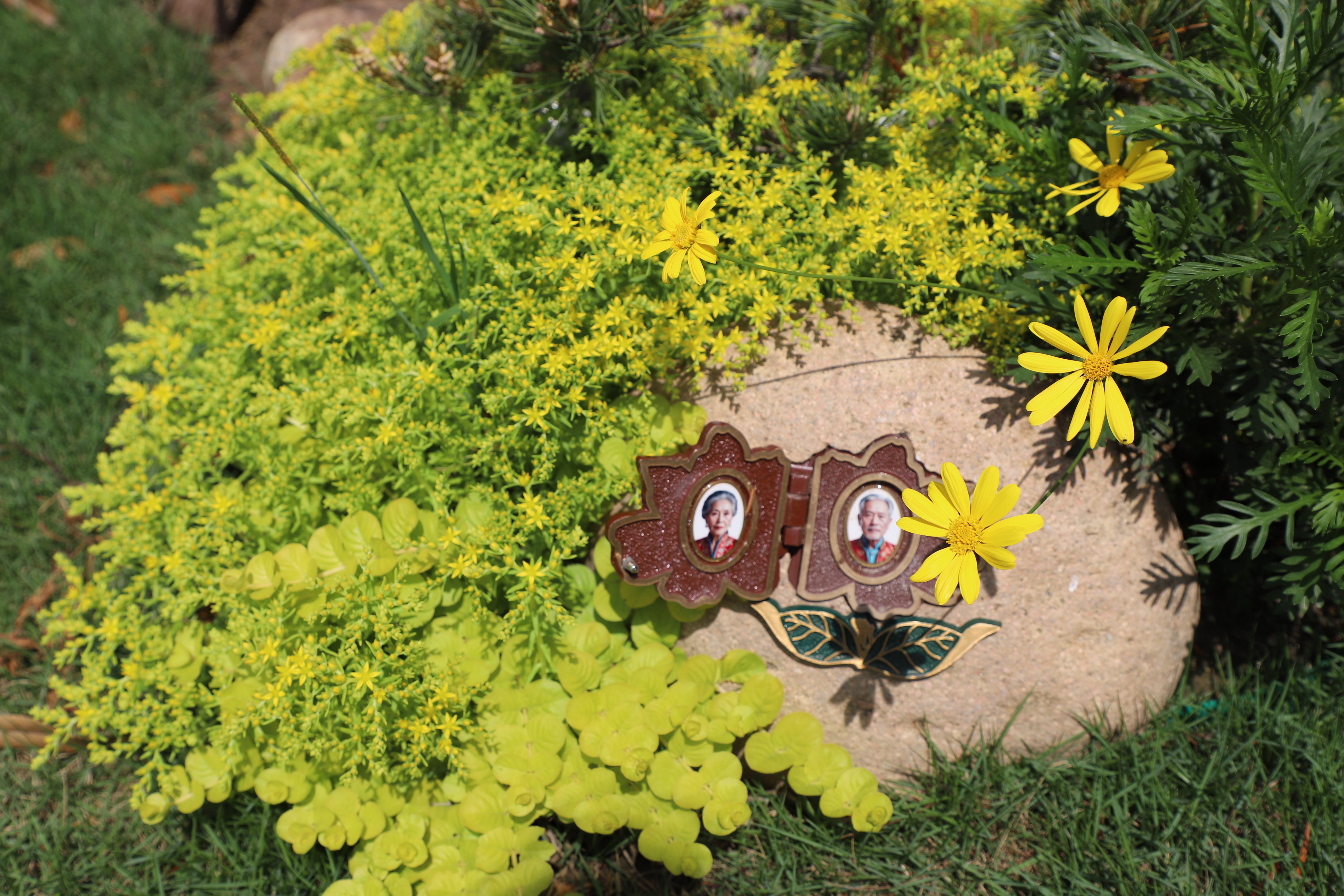 首页-人生就是博