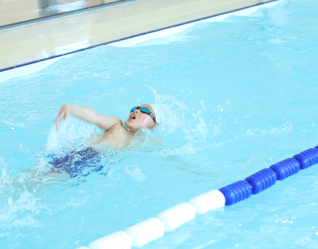 首页-人生就是博