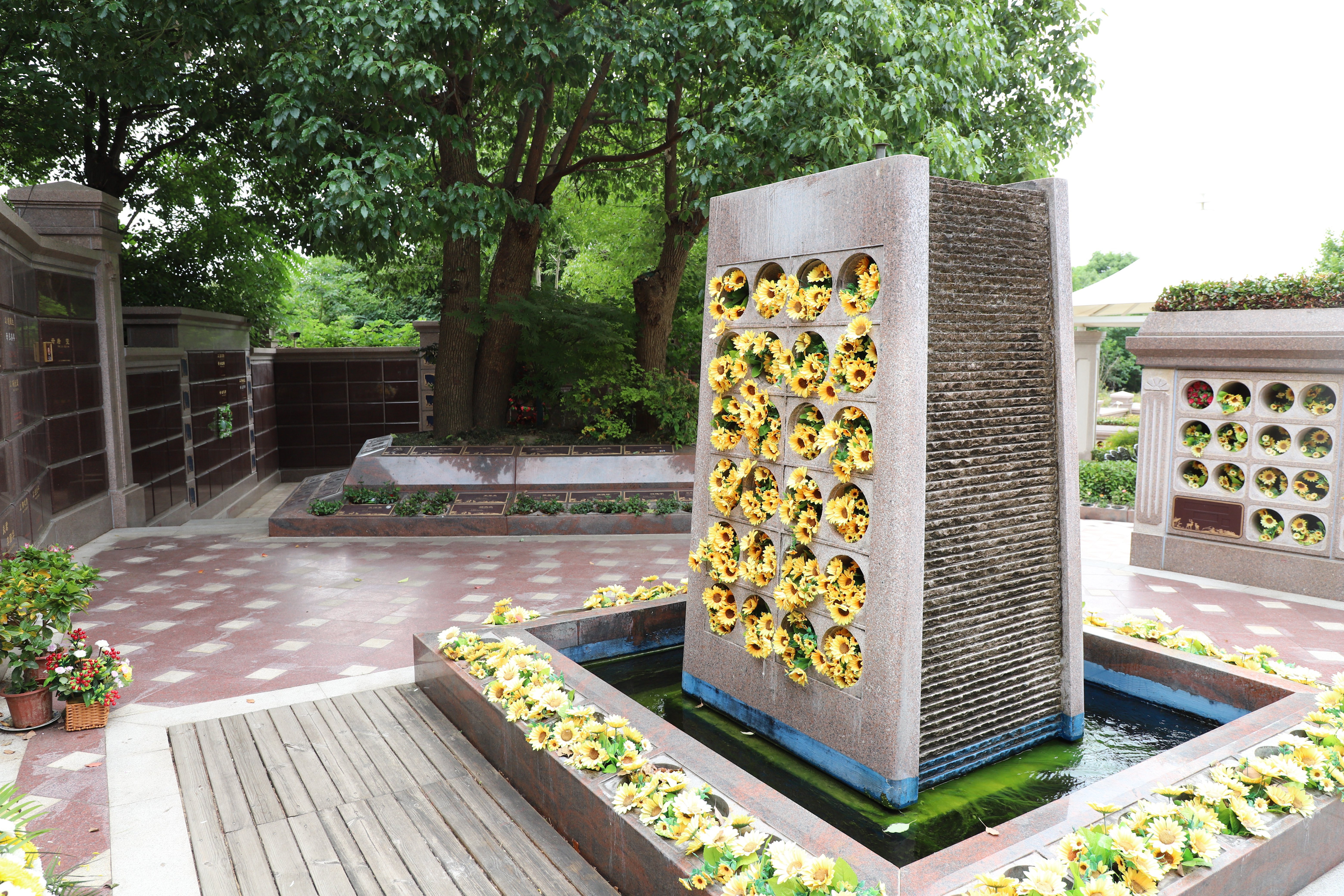 首页-人生就是博