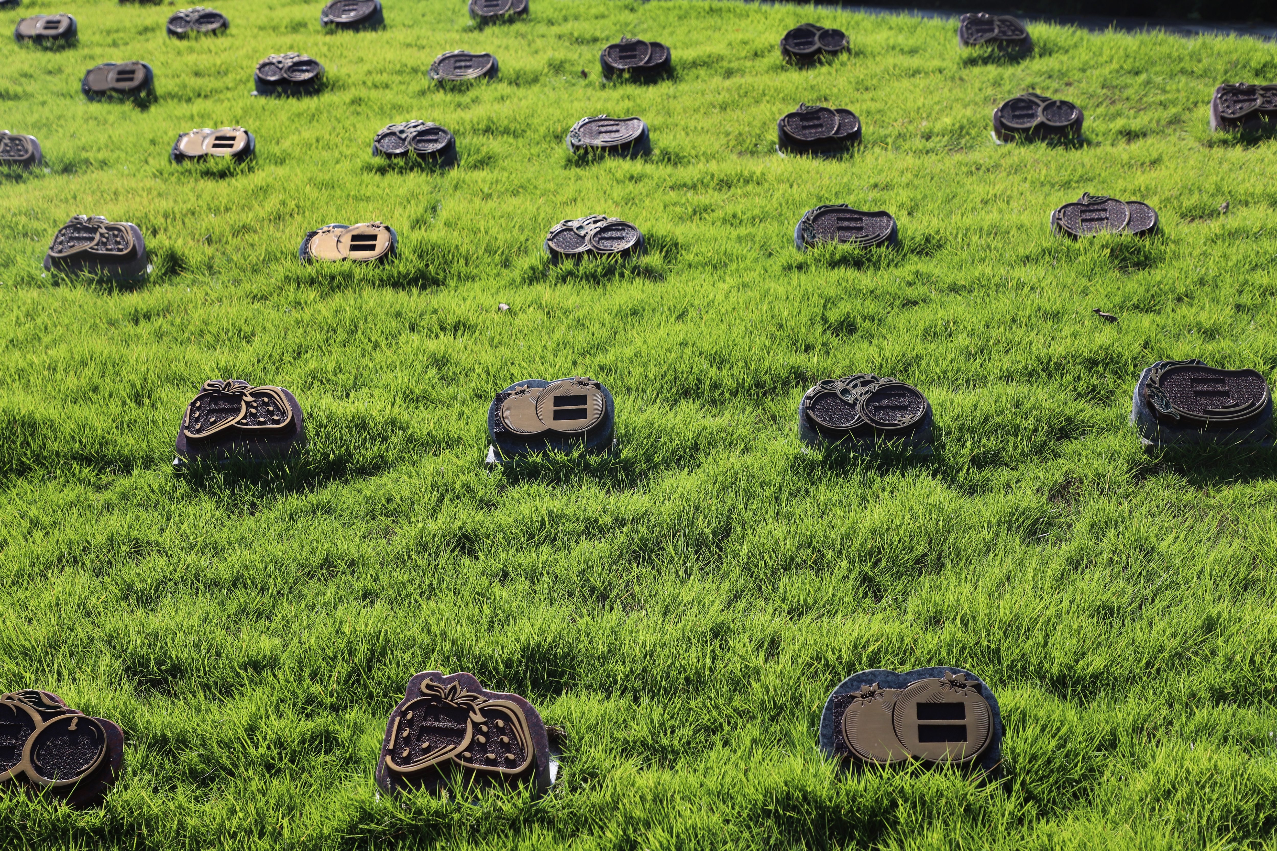 首页-人生就是博