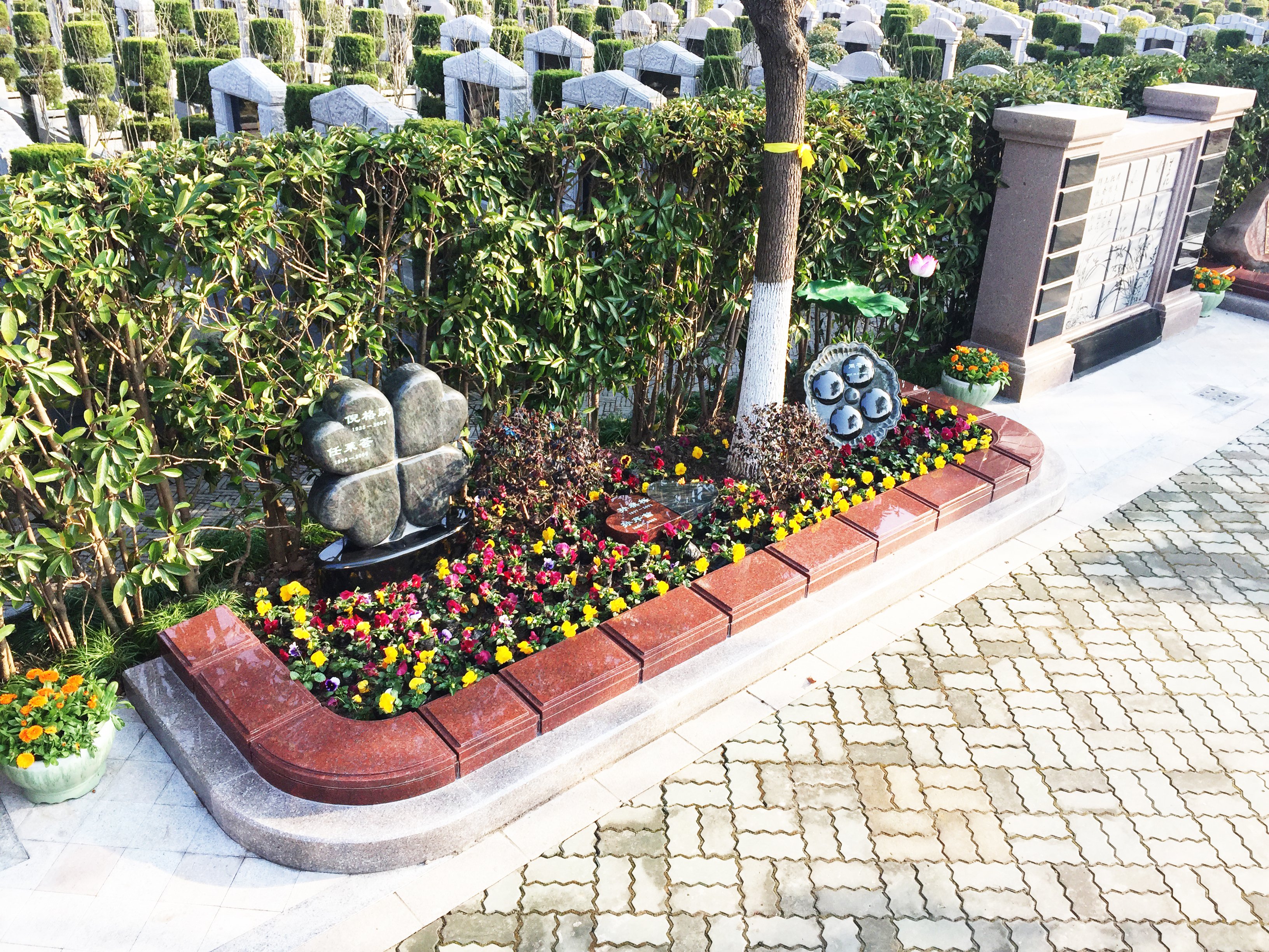 首页-人生就是博