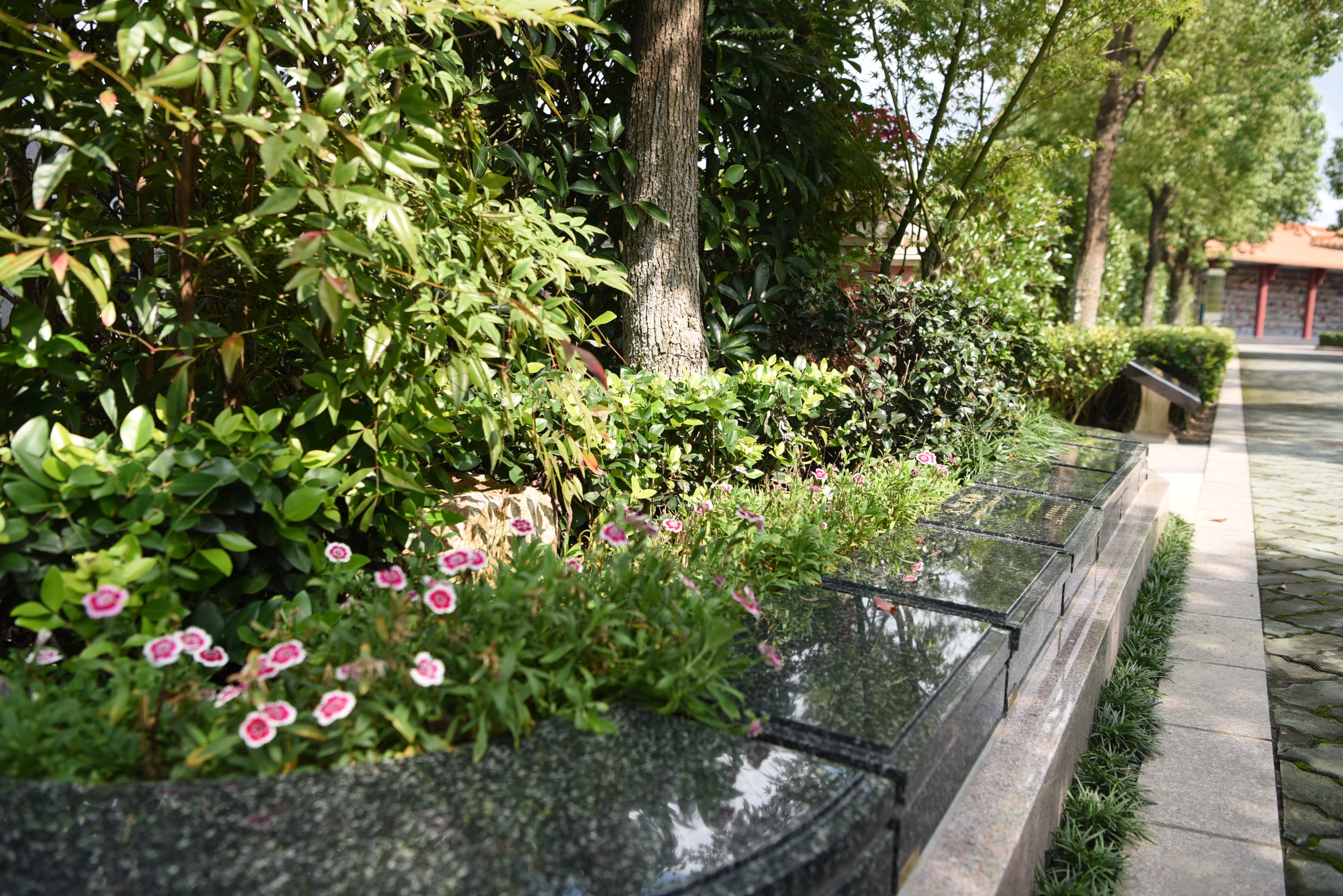 首页-人生就是博