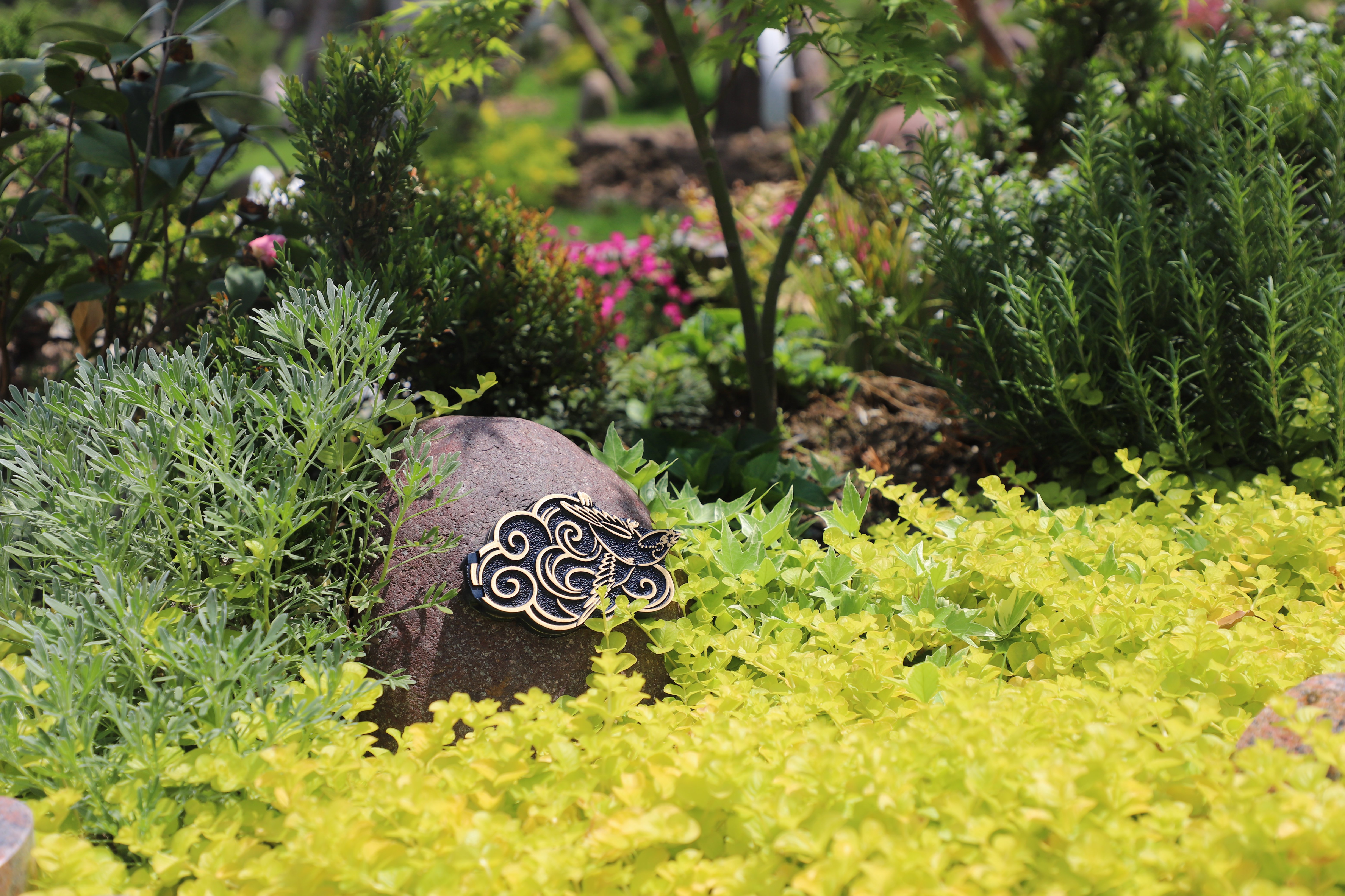 首页-人生就是博