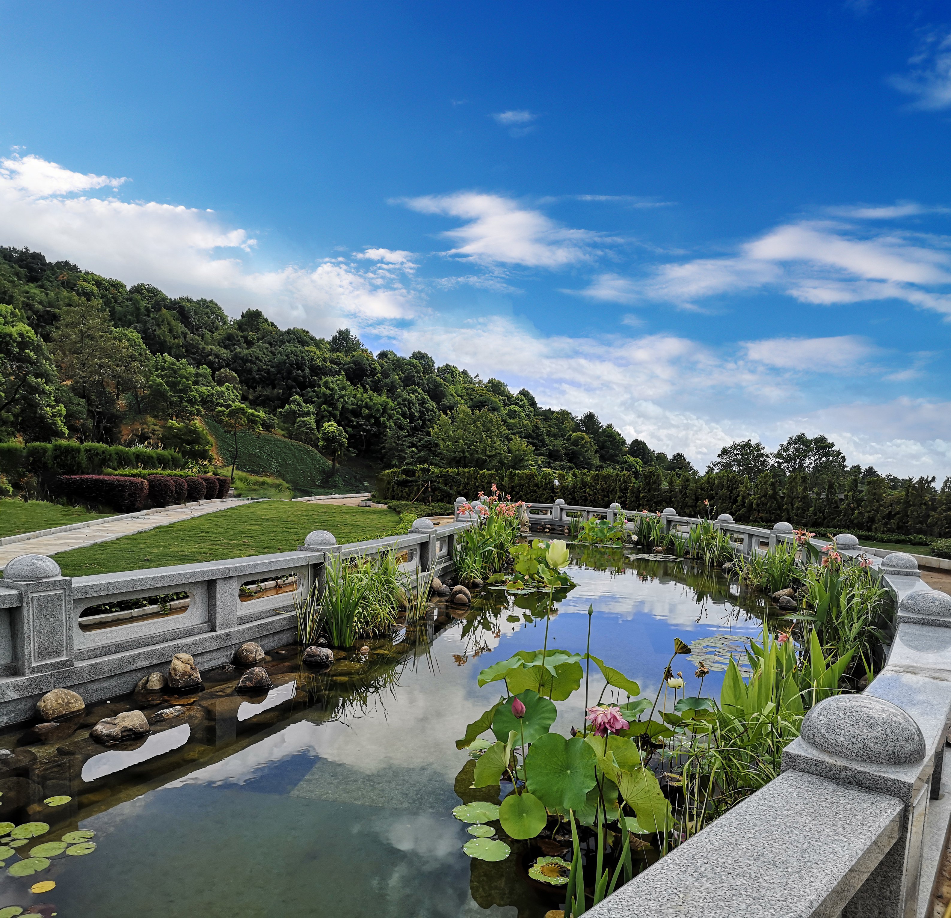 首页-人生就是博