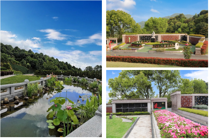 首页-人生就是博