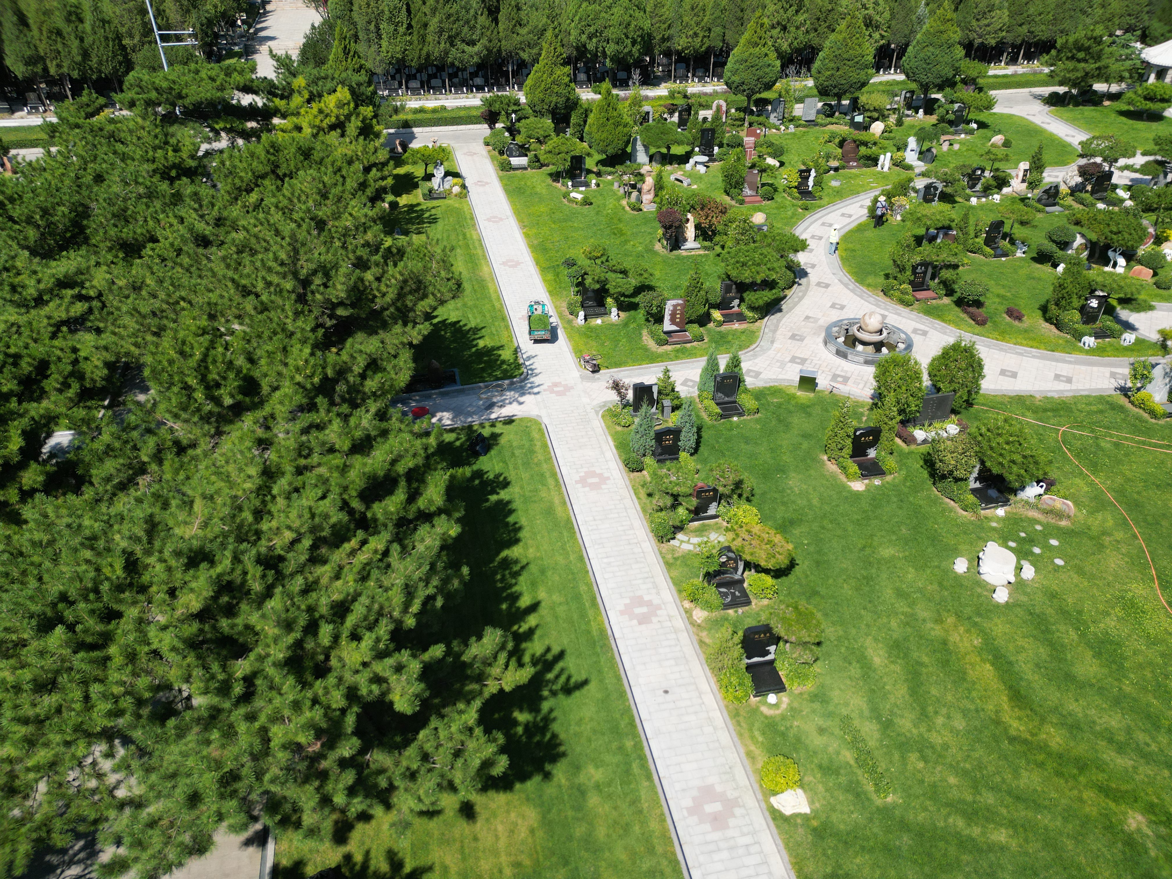 首页-人生就是博