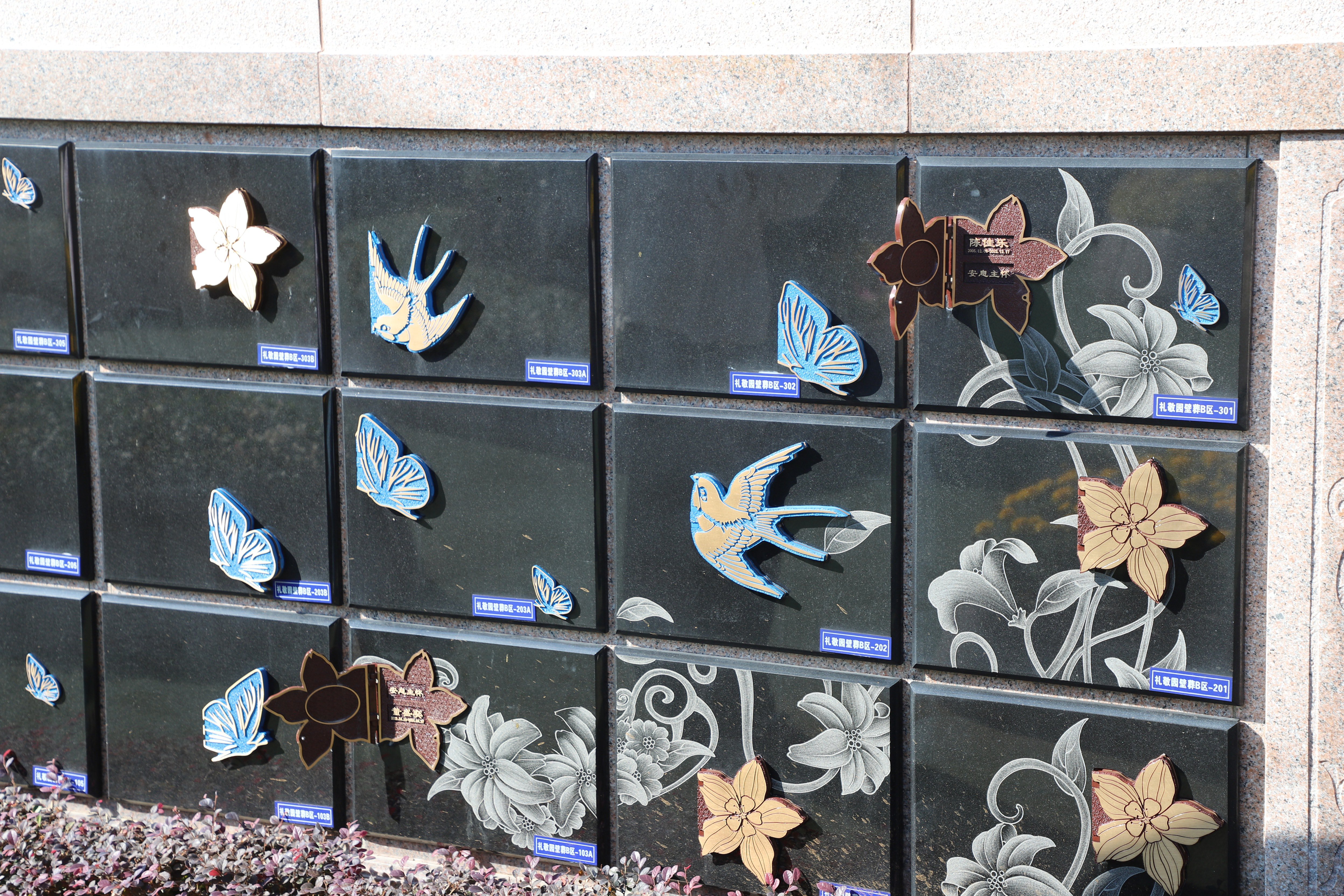 首页-人生就是博