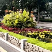 无机仿真石花箱：以永恒之名，，，，，塑未来之境