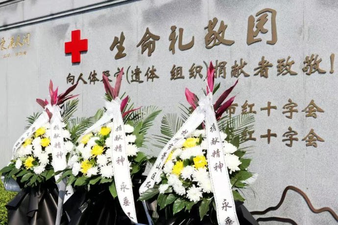 首页-人生就是博