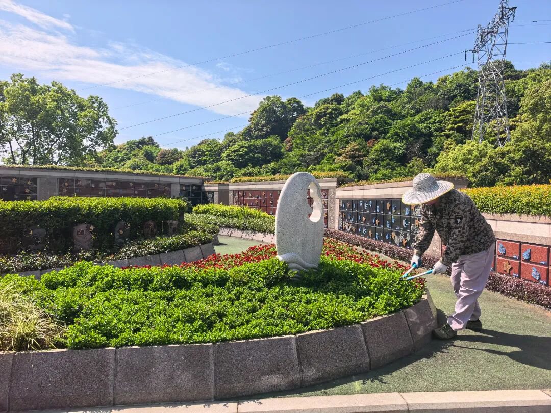 首页-人生就是博