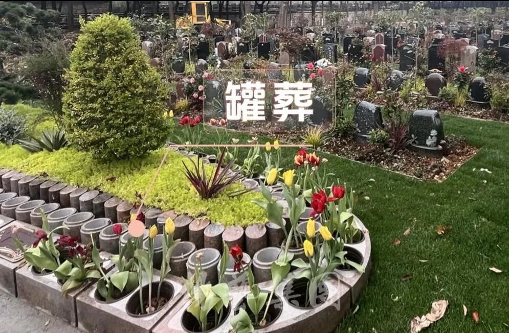 1-26052115062L00 首页-人生就是博