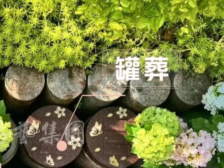 1-260521150H13V 首页-人生就是博