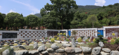 一壁藏年龄，，，，，方寸寄长思